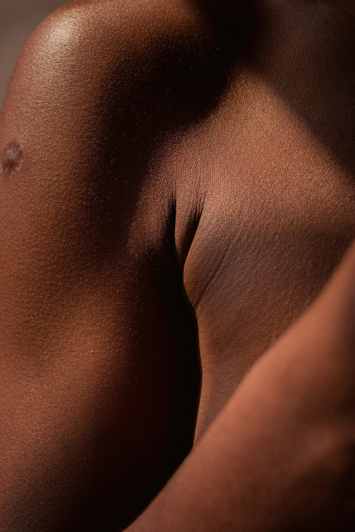 Specialized Reconstruction